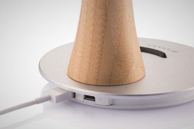 Ginkgo Solar Tree Charger_6