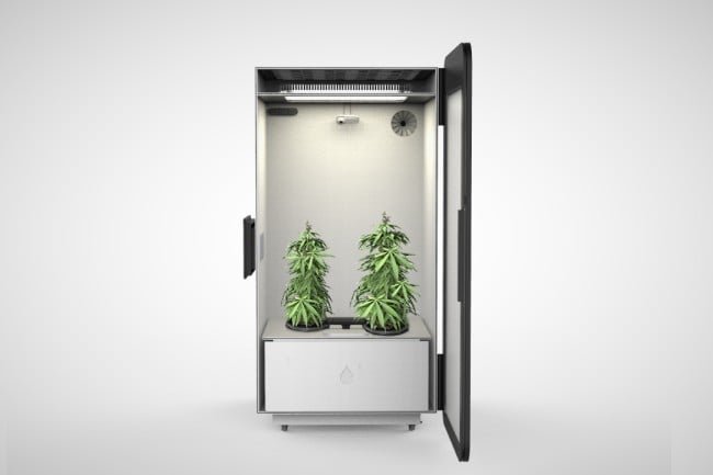 Leaf Cannabis Growing System 2