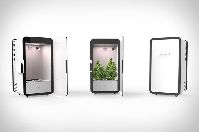 Leaf Cannabis Growing System 5
