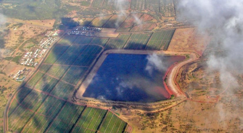 Moloka‘i Coffee plantation from the air