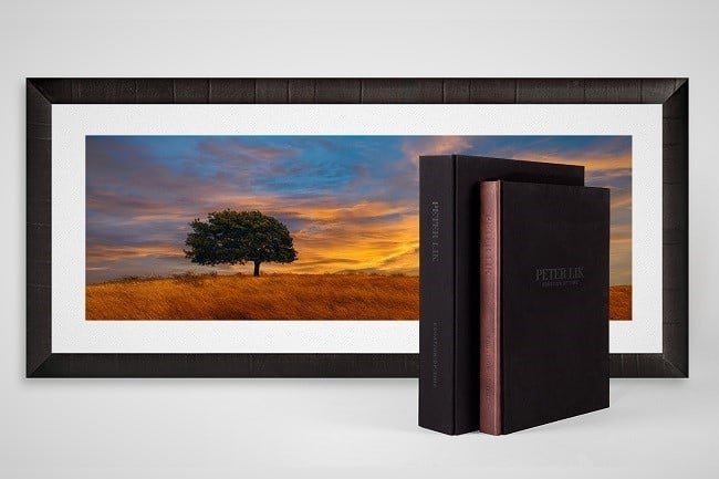 EQUATION OF TIME' BY PETER LIK