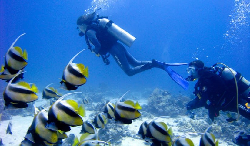 Scuba Diving Club Med Finolhu Luxury Resort