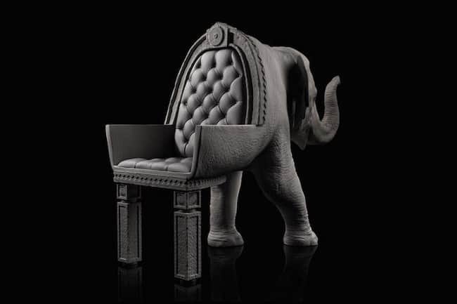 The Animal Chair Collection 1