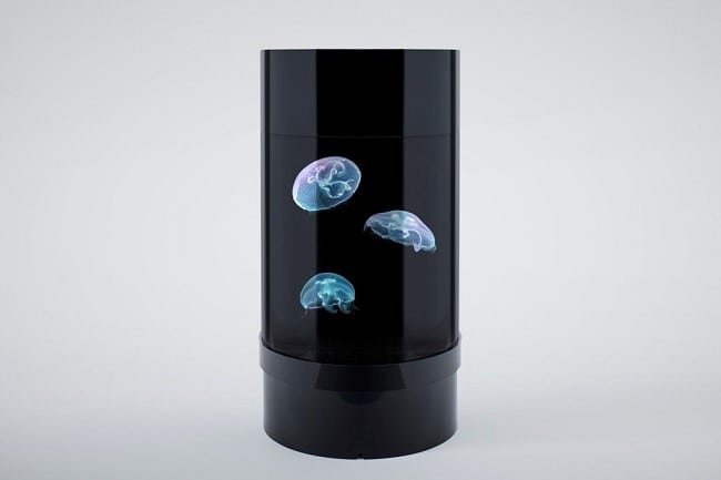 Jellyfish Cylinder Nano Aquarium 4