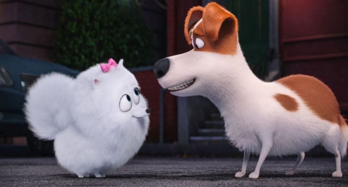 19+ Best Dog Movies You Can Watch On Netflix in 2022 | Men's Gear